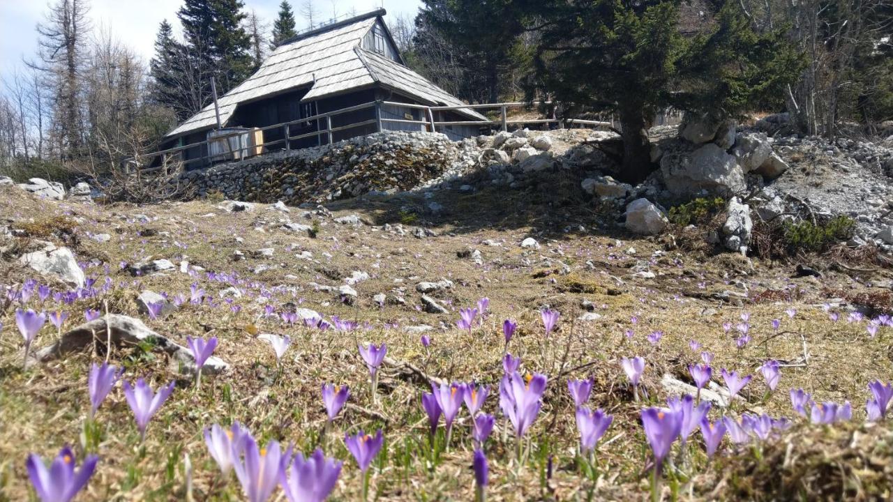 Villa Chalet Pehta Velika Planina à Stahovica Extérieur photo