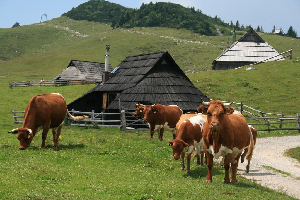 Villa Chalet Pehta Velika Planina à Stahovica Chambre photo