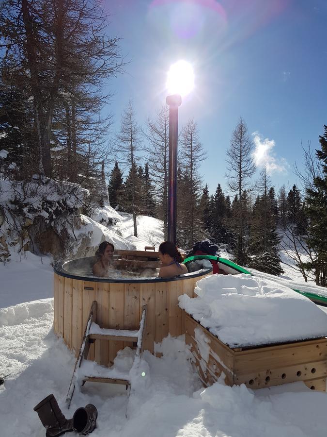 Villa Chalet Pehta Velika Planina à Stahovica Extérieur photo