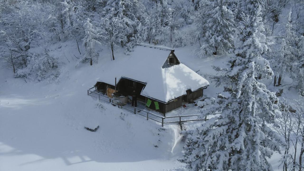 Villa Chalet Pehta Velika Planina à Stahovica Extérieur photo