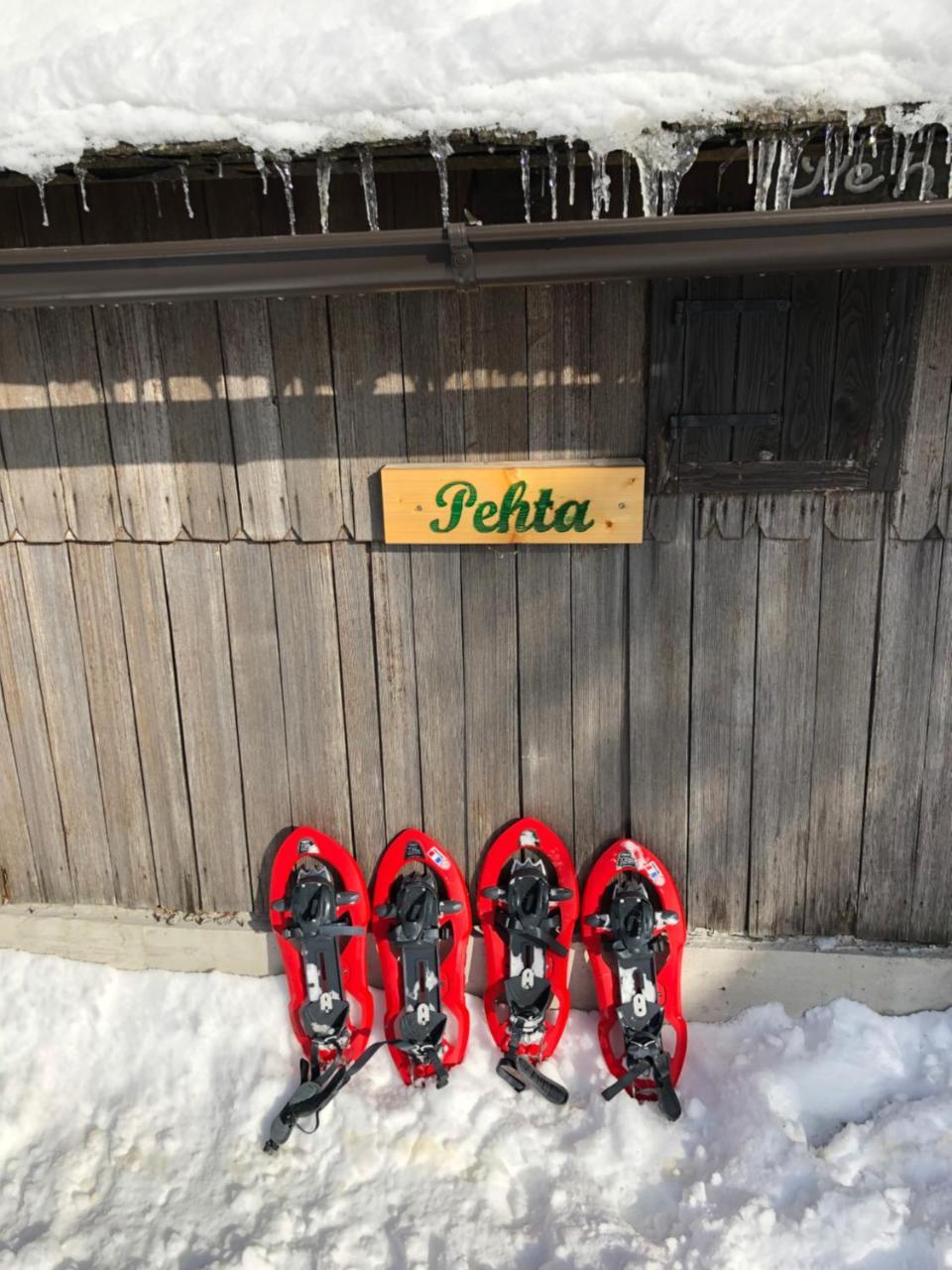 Villa Chalet Pehta Velika Planina à Stahovica Extérieur photo